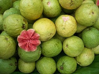 320px-Guava_bangalore