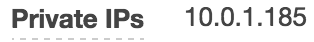 private_ip