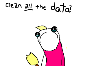 clean_all_the_data_maybe